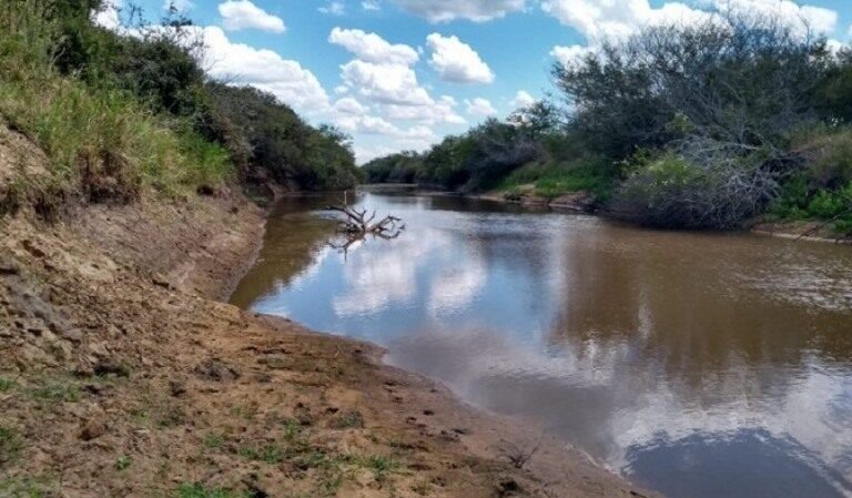 Governo divulga novo boletim sobre situação da estiagem no Rio Grande do Sul