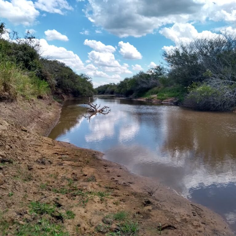 Cinco municípios gaúchos já decretaram situação de emergência em razão da falta de chuva